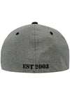 WWP Logo Performace Flex-Fit Hat in Grey - Back View