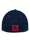 WWP Flex Fit Performance Hat in Navy and White - Back View